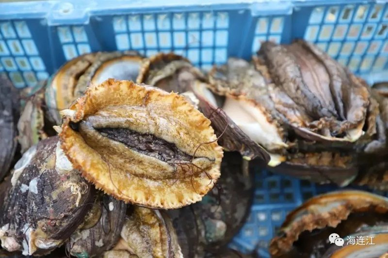 台山海聚鲜，一网打尽海鲜美味