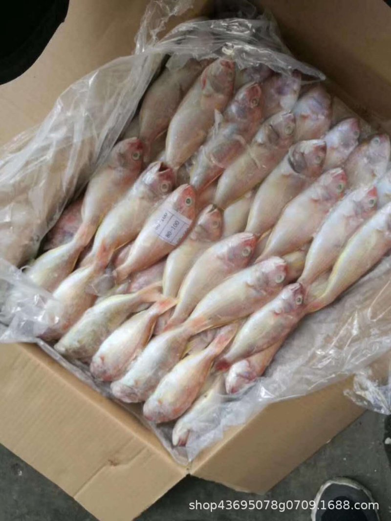 冷冻海鲜能保存多久？