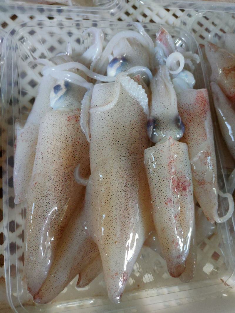 在海产品加工的世界里，荣成楮岛水产以其独特的产品和精湛的技术赢得了众多消费者的青睐。今天，我们就来聊聊这家企业的加工之道。